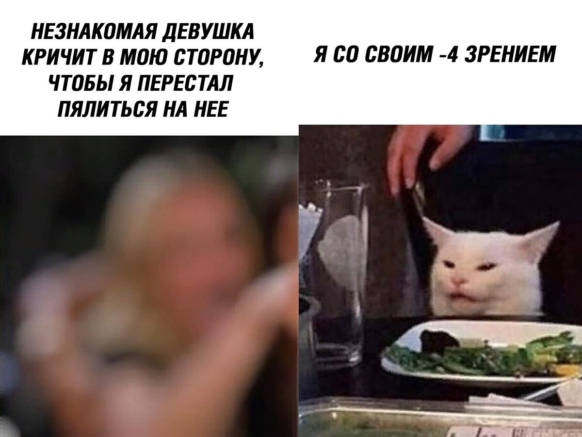 Фото кота за столом из мема