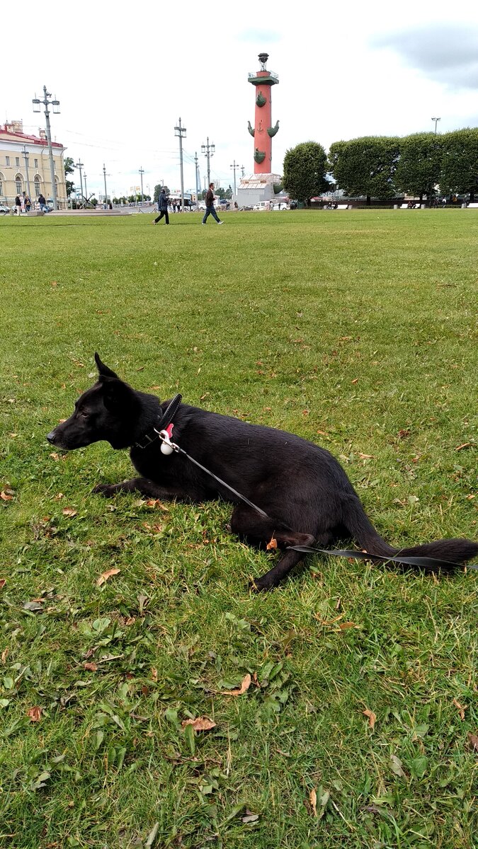 Лиза в Санкт-Петербурге, август 2019 г.