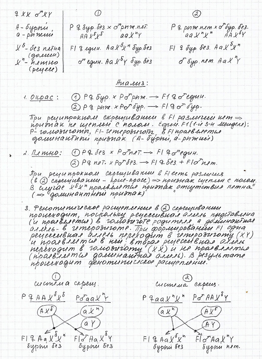 Задача по генетике (рекомендованное оформление). Решает репетитор кбн Богунова В.Г. 