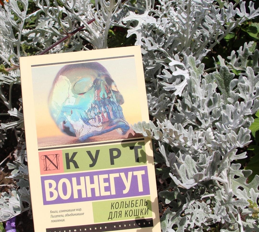 Что делать, когда погиб весь мир? фото - мое 