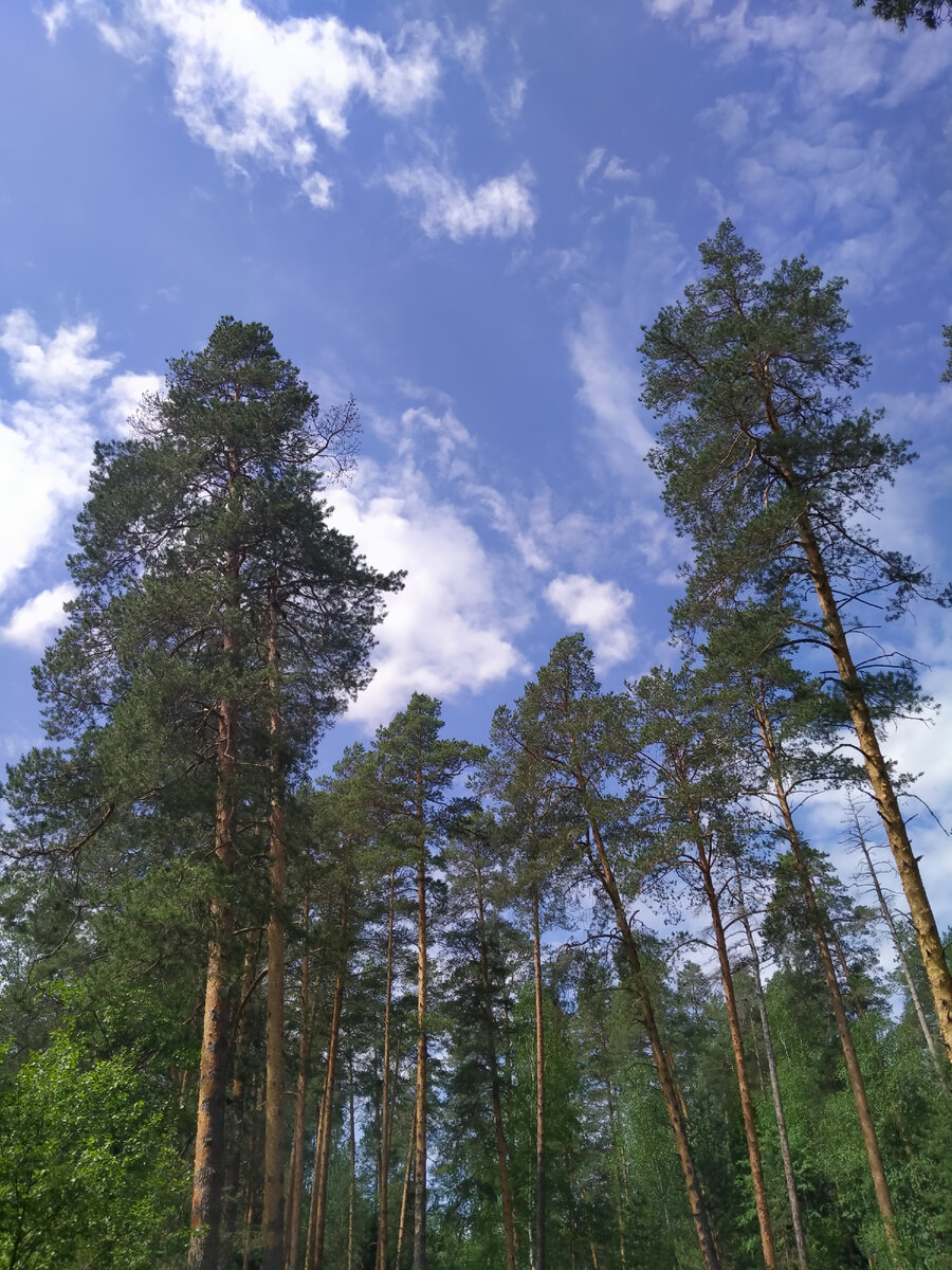 Фото  автора. Чарское озеро