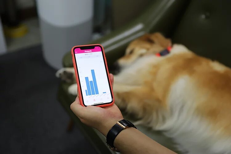 Источник фото: petpuls.net
