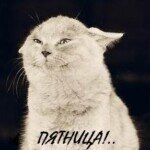 Приветствую Участников и Гостей нашего Сайта! Меня зовут Валерий. Я Админ и Банкир нашего Сайта. Именно со мной Вам предстоит обсуждать все возникающие вопросы по взаимодействию с нашим Сайтом. Я нахожусь среди Участников, Ищите аватарку вот с таким довольным котом – не ошибетесь. Это буду я. Или еще вариант – Вы можете войти во вкладку в оглавлении сайта  “Контакты для связи с автором” и написать мне там сообщение. На этой странице я расскажу Вам о внутренней валюте нашего Сайта – называется PIASTRY (далее Пиастры), а также о нашей политике разделения совместного дохода с Участниками нашего Сайта. Справедливое разделение труда и дохода это есть залог постоянства в сотрудничестве на нашей площадке. Количество Пиастров в кармане каждого Участника указанно в личном профиле над аватаркой Участника.