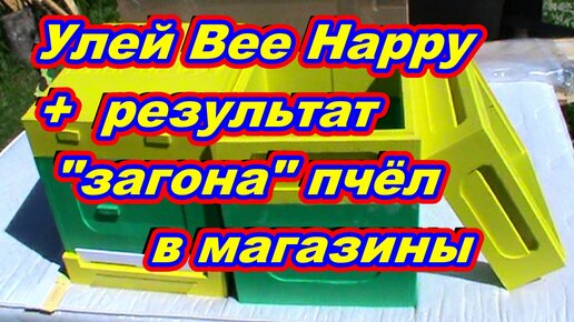 Начинающий пчеловод ! Обзор улья Bee Happy + Результат ЗАГОНА пчёл в магазины !