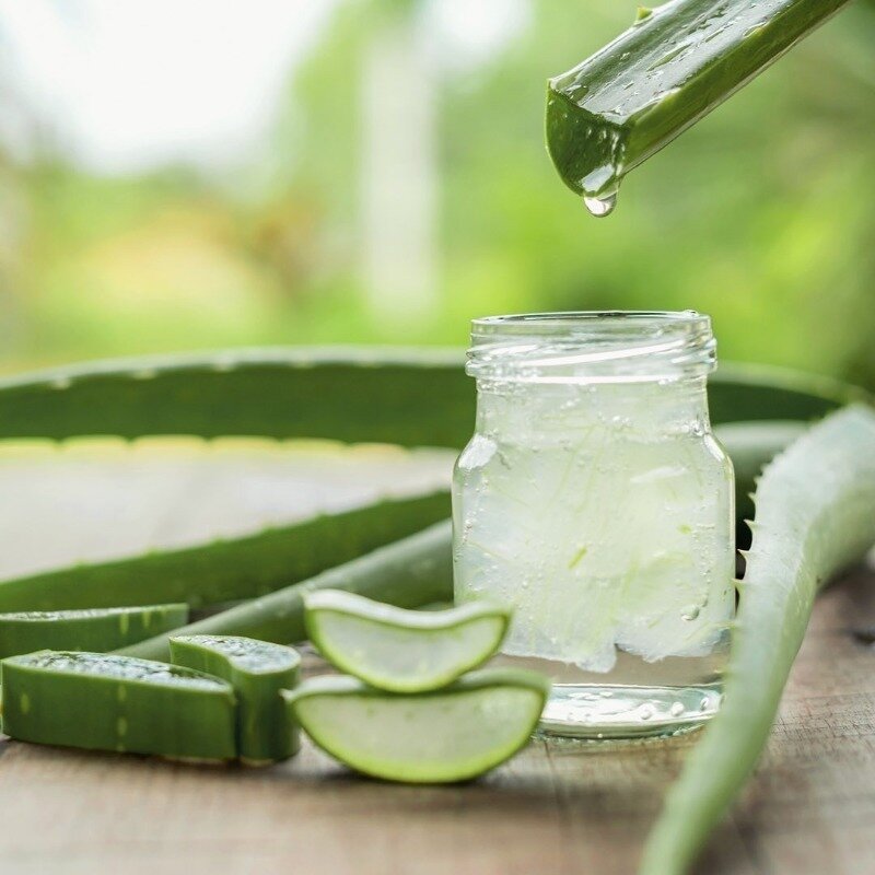 Фото https://www.instagram.com/p/CAu_4KSKp2A/