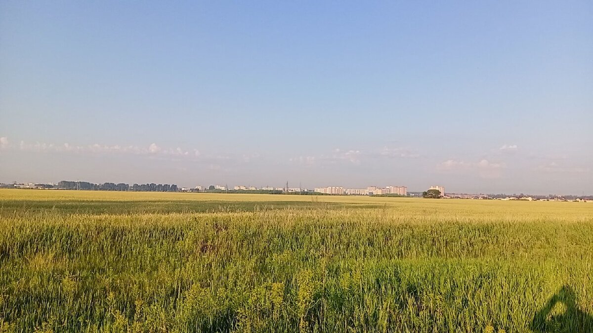 Утренний фото-сет)