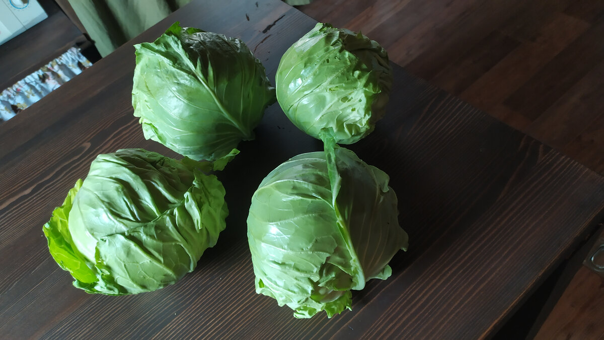 Капуста Кевин F1