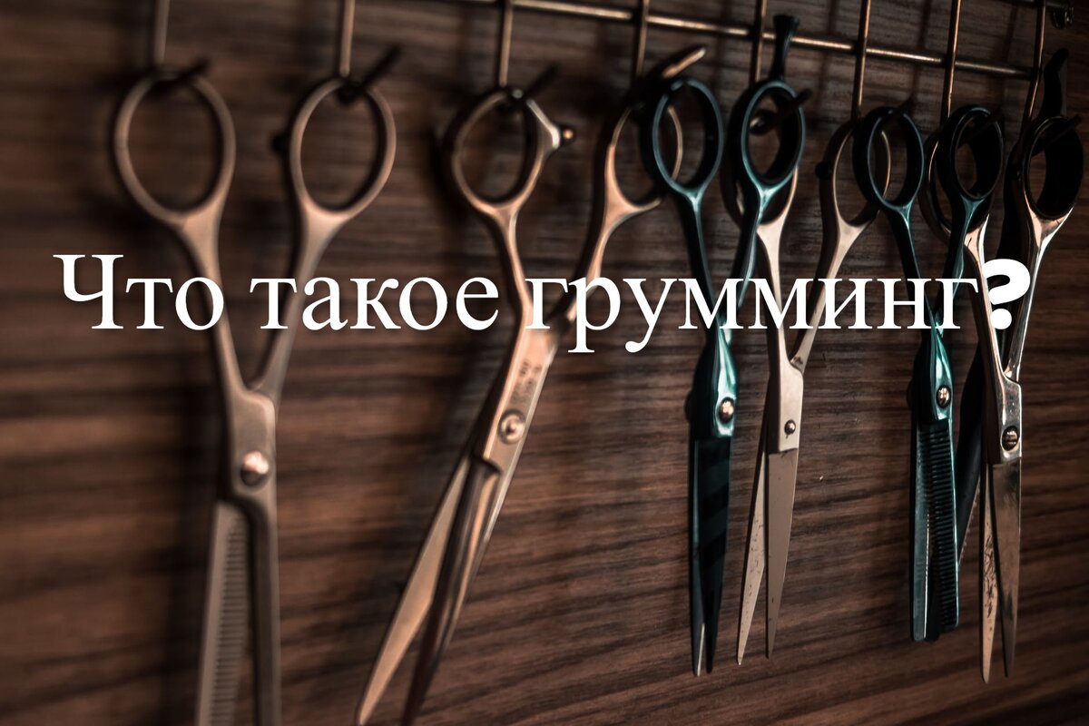 Груминг – это комплексный гигиенический и эстетический уход за домашними животными