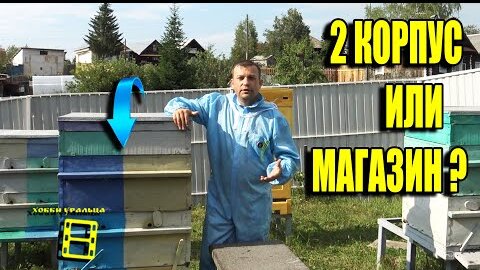 ЧТО ЛУЧШЕ ДЛЯ ГЛАВНОГО МЕДОСБОРА (ВЗЯТОК), МАГАЗИН ИЛИ КОРПУС? ДЛЯ НАЧИНАЮЩИХ ПЧЕЛОВОДОВ 18-21