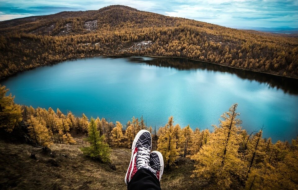 Из открытого источника Pixabay