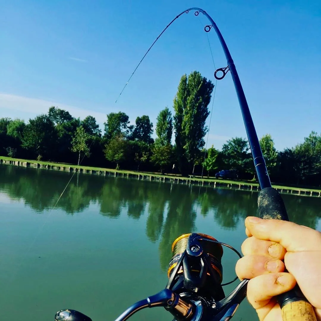 Match fishing. Фидер. Ловля на фидер. Фидерная рыбалка. Рыболовный фидер.