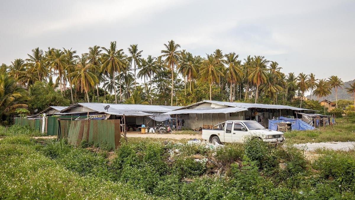    Дома и машина на фоне пальм в Таиланде:pixabay.com