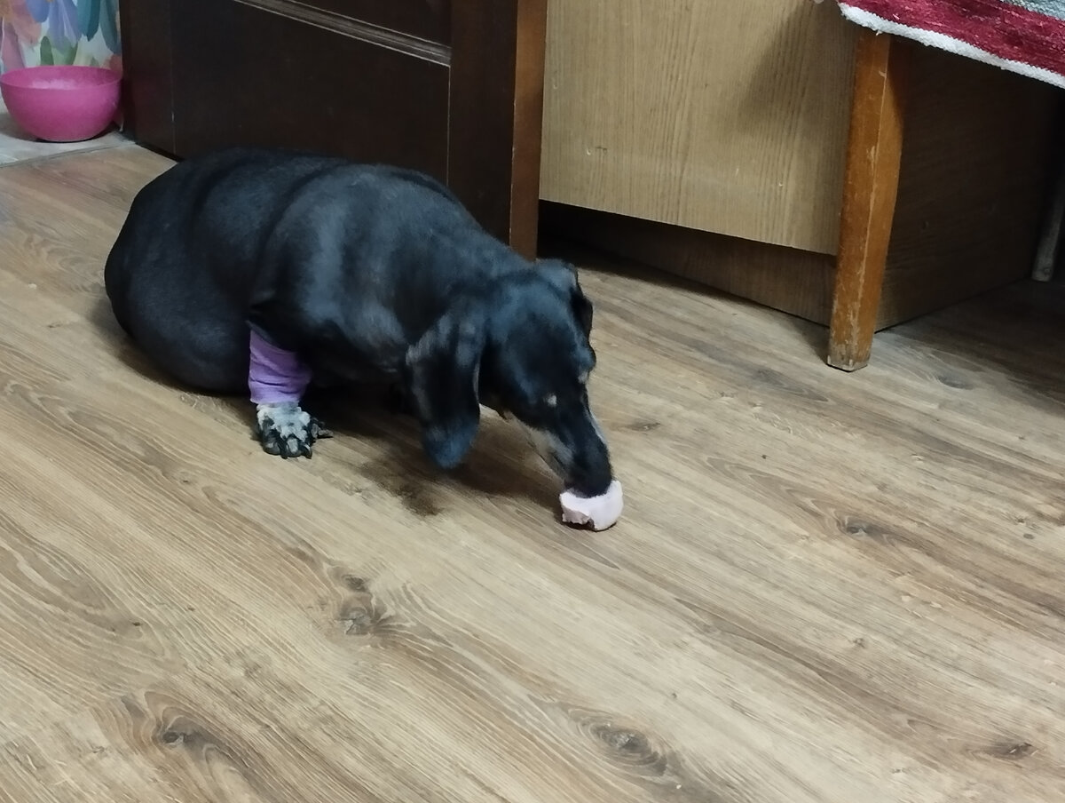 Вот, колбаску с кухни принесла)) 