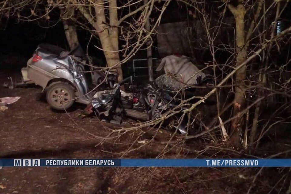     26-летний бесправник на "Пежо" слетел с дороги и врезался дерево. Фото: МВД