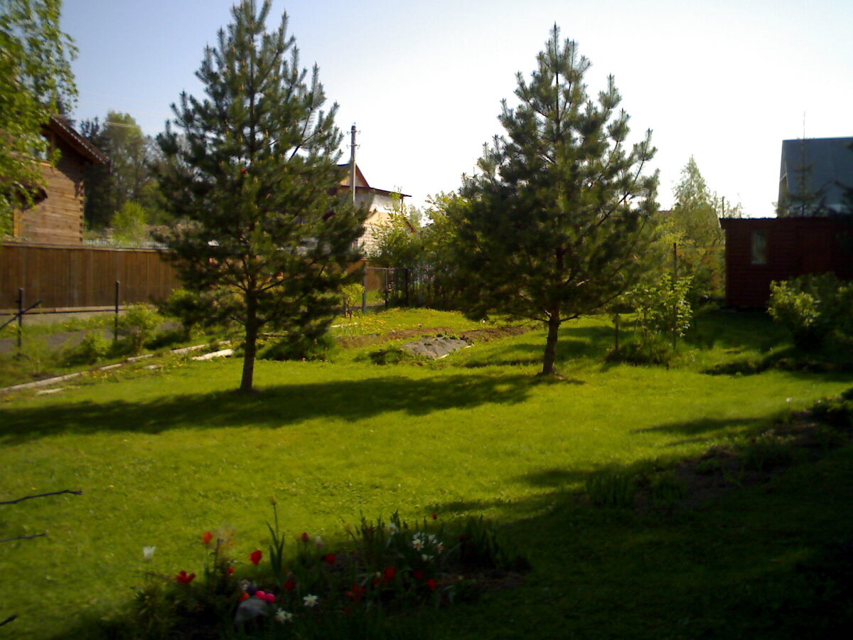 Фото участка