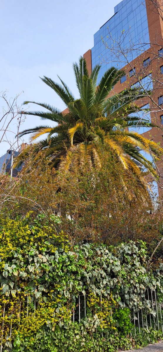 Тихая гавань для бизнеса