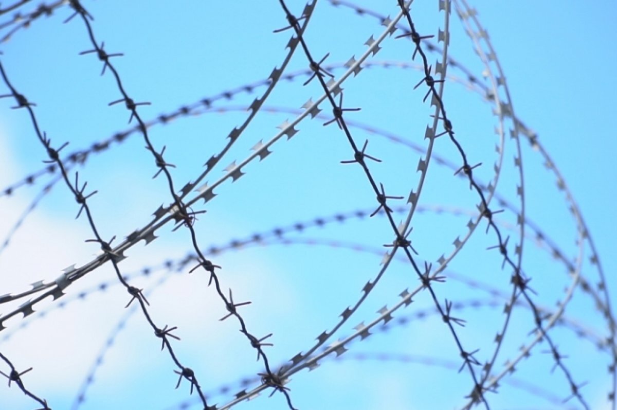    В новых регионах создадут 25 исправительных колоний