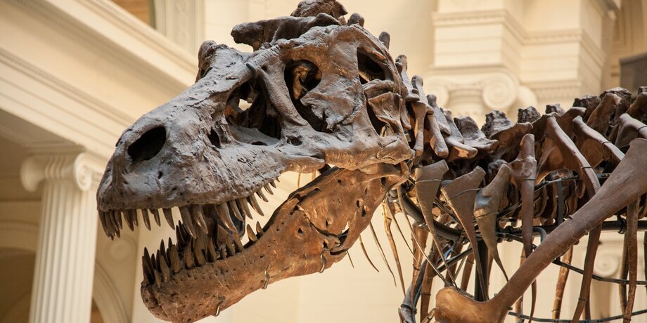 Фото: depositphotos/fotofoster1