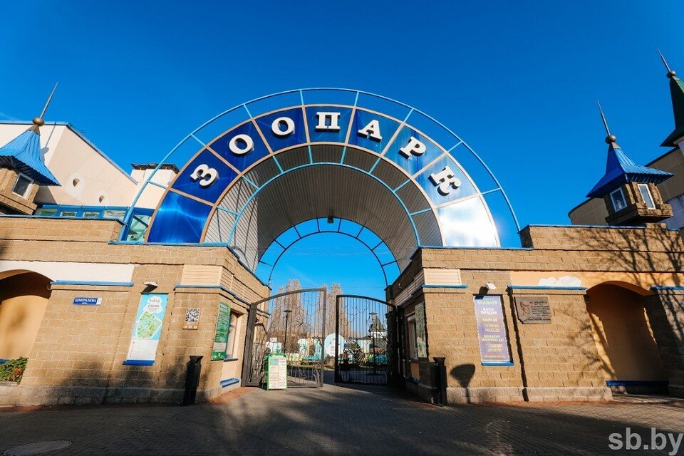     В Гродненском зоопарке в 2023-м снова появится свой слон. Фото: архив sb.by