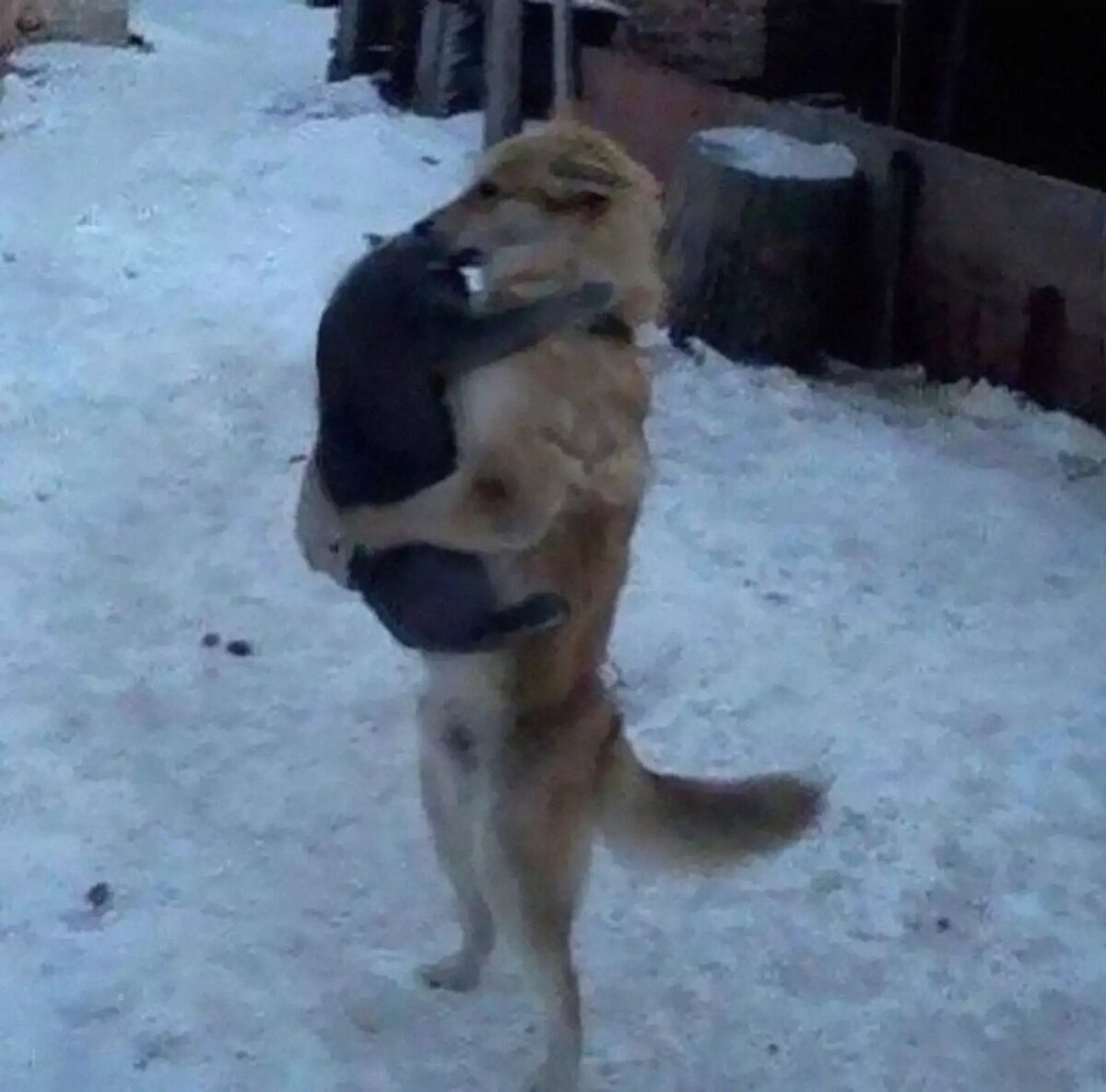 -2