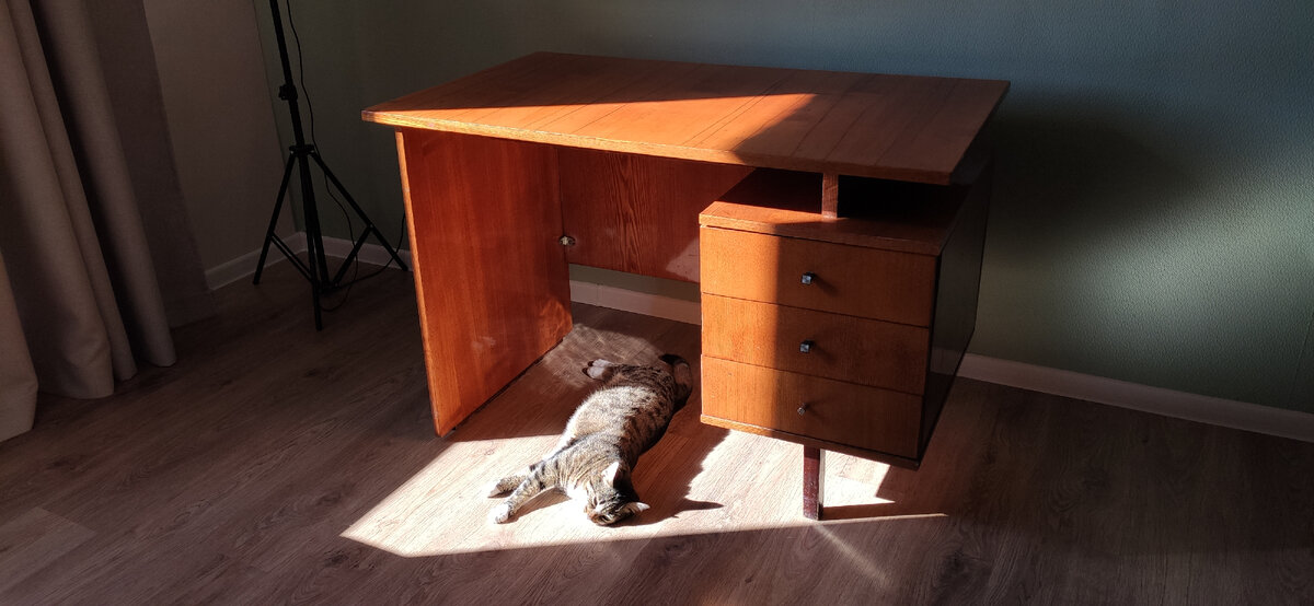 Фото автора