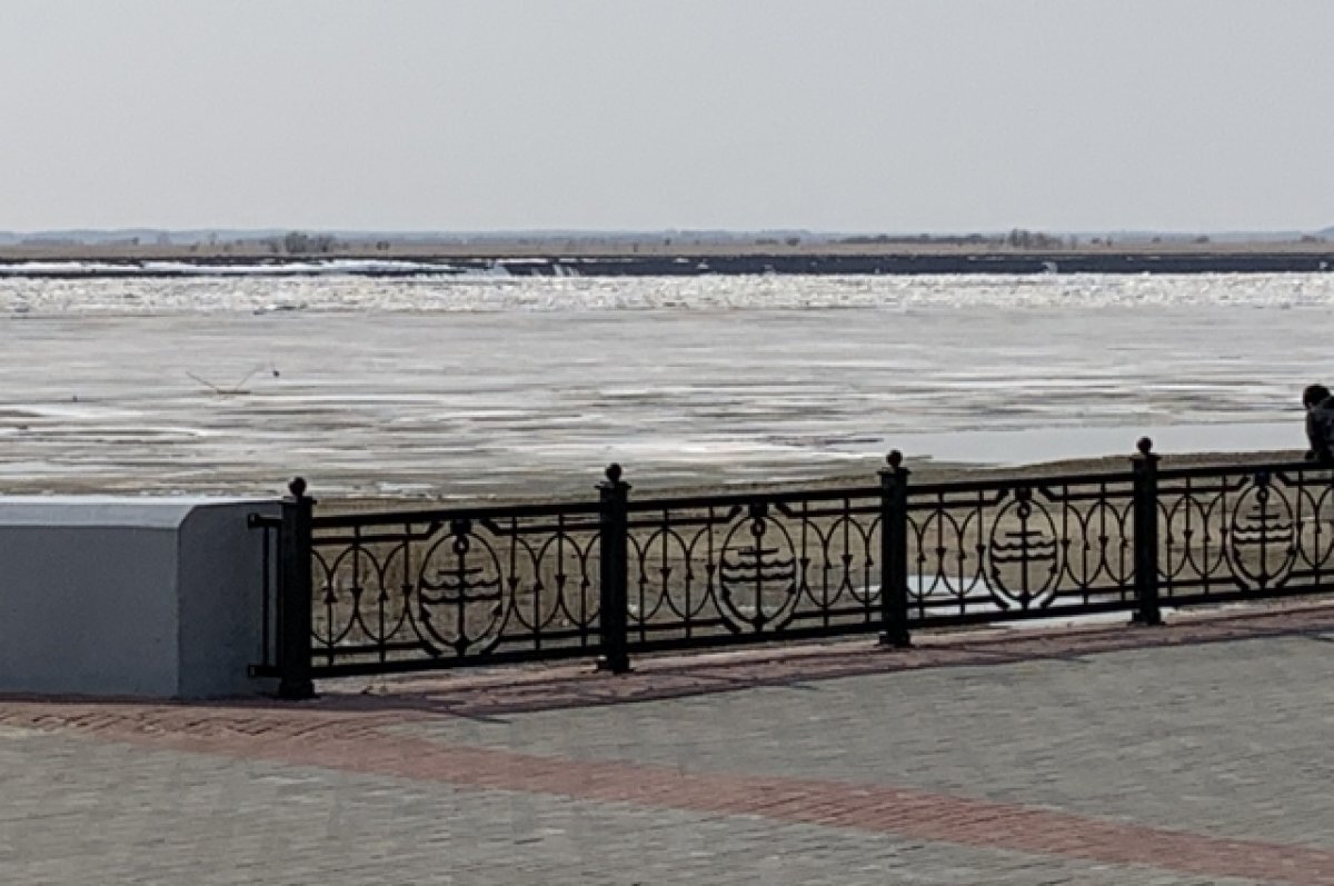    Путин поручил заняться оздоровлением Иртыша в Омской области