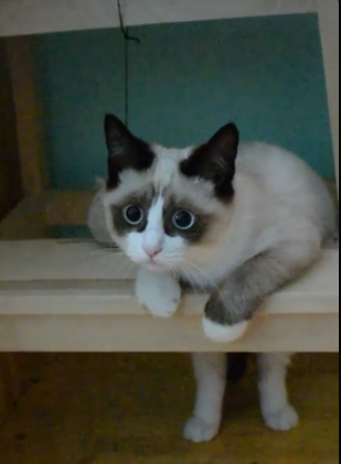 Феликс)
