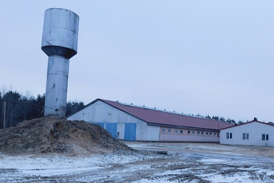     Ветврач шел по двору фермы и провалился в колодец. Фото: УГКСЭ по Могилевской области