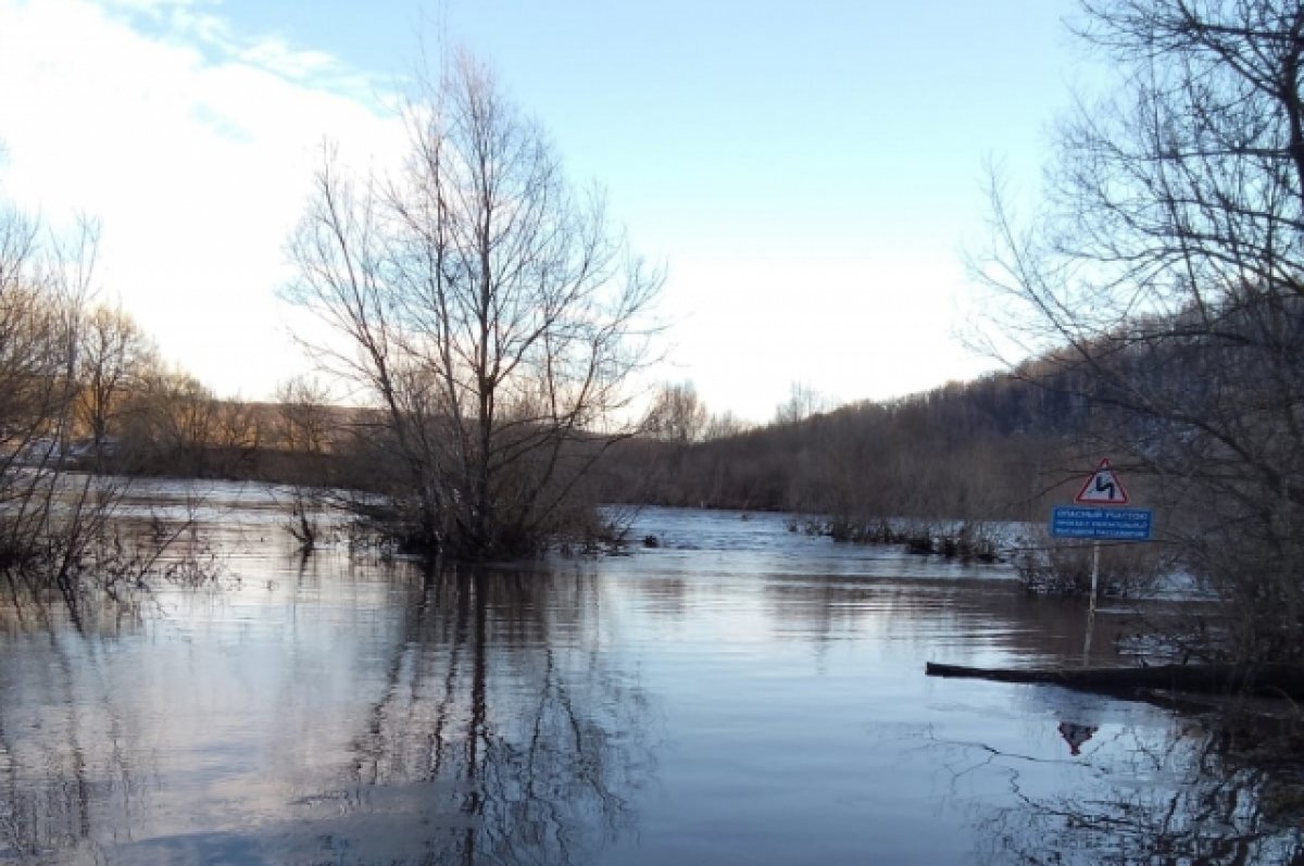    Река Красивая Меча в районе Ефремова вернулась в русло