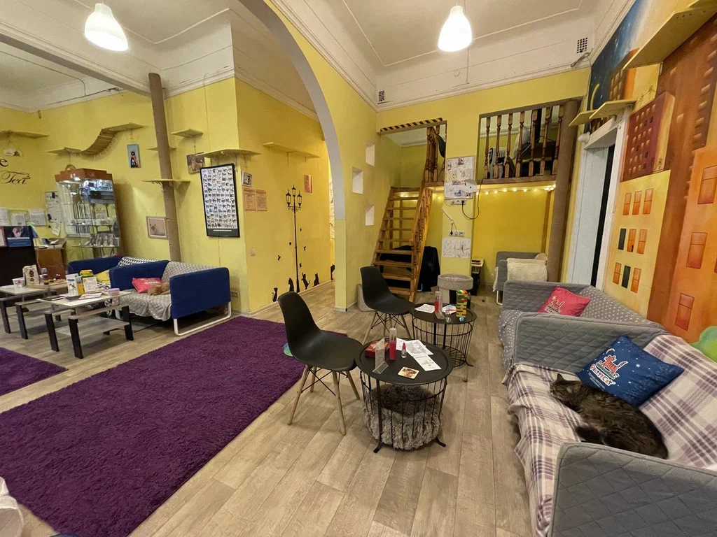 ФОТО:https://avatars.mds.yandex.net/get-altay/5449087/2a0000017dd73ba3fc29a97856eaab6fc31a/XXL