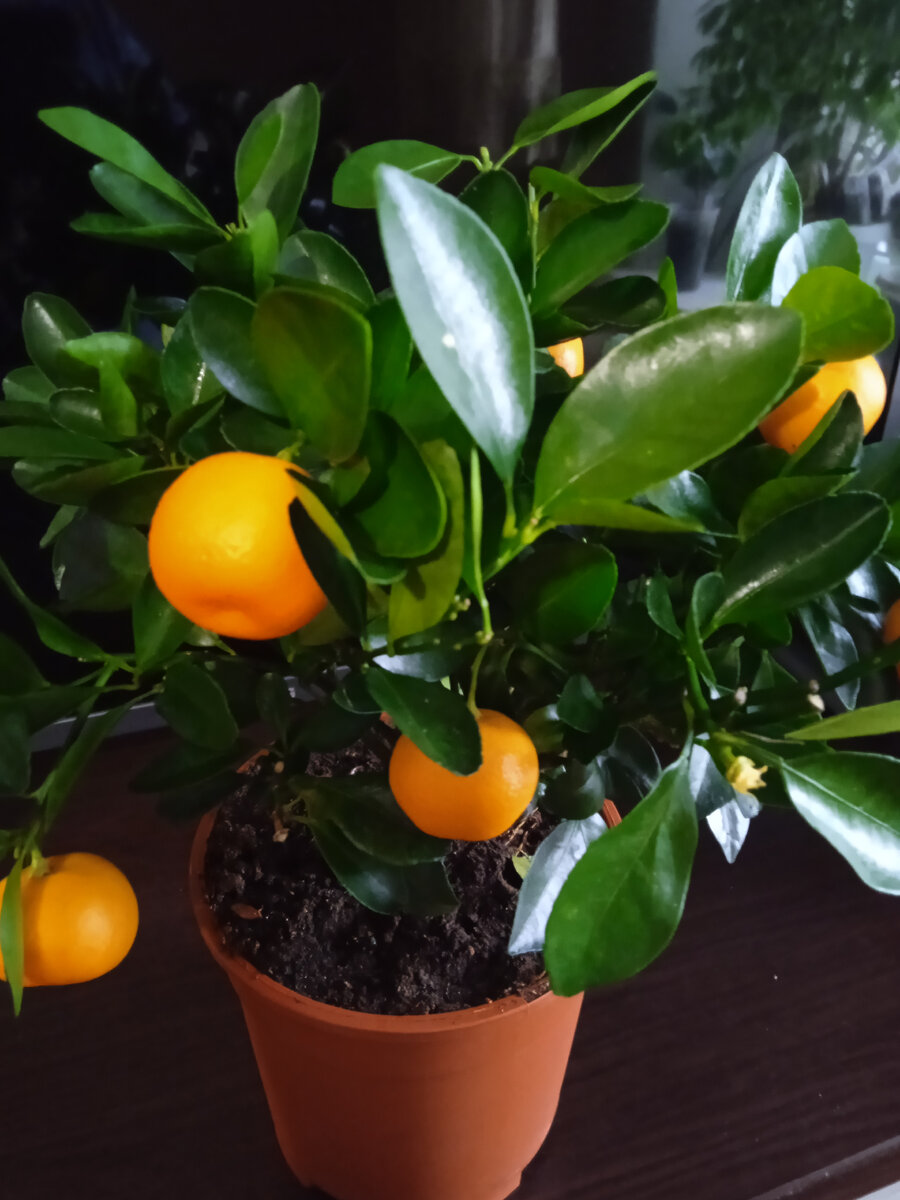 личное фото