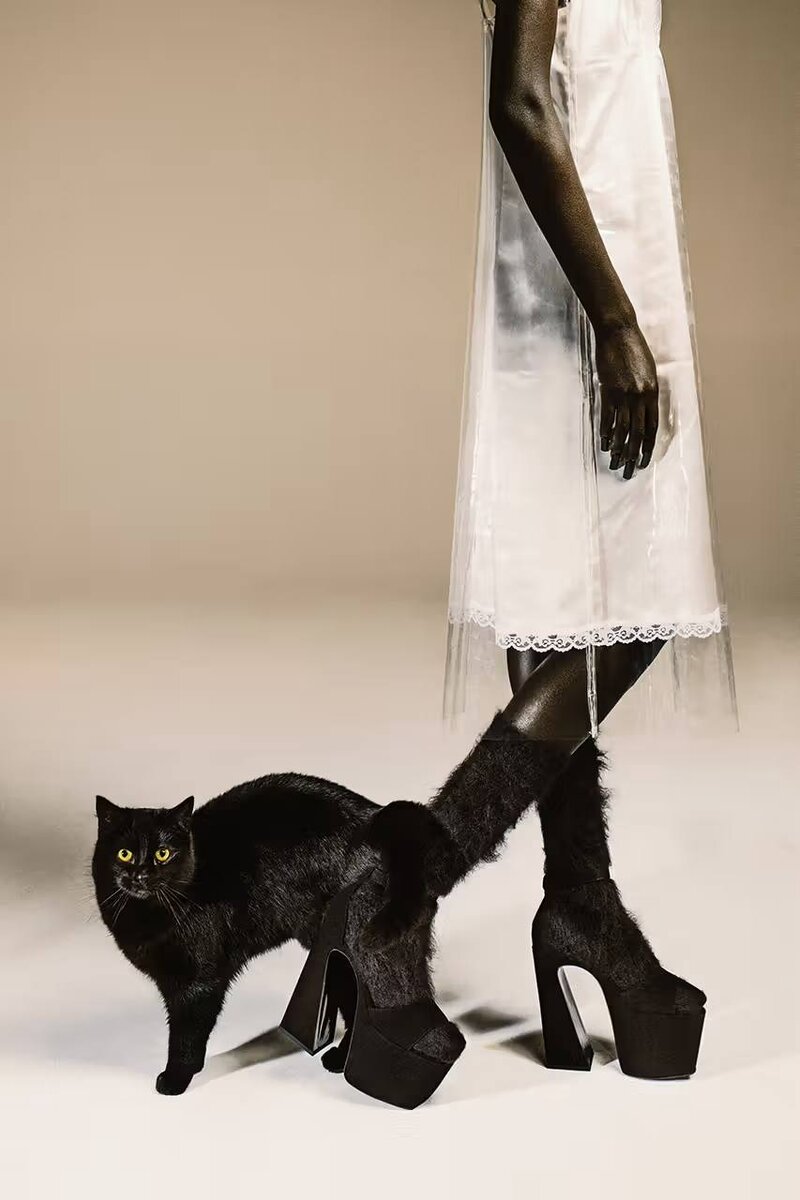 "Сабрина маленькая ведьма" и ее кот Салем. Очень дорого? 