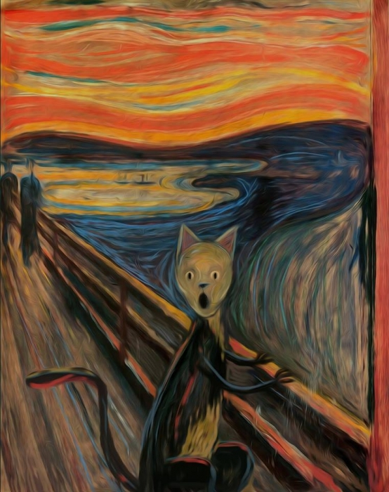 Кот Мунка