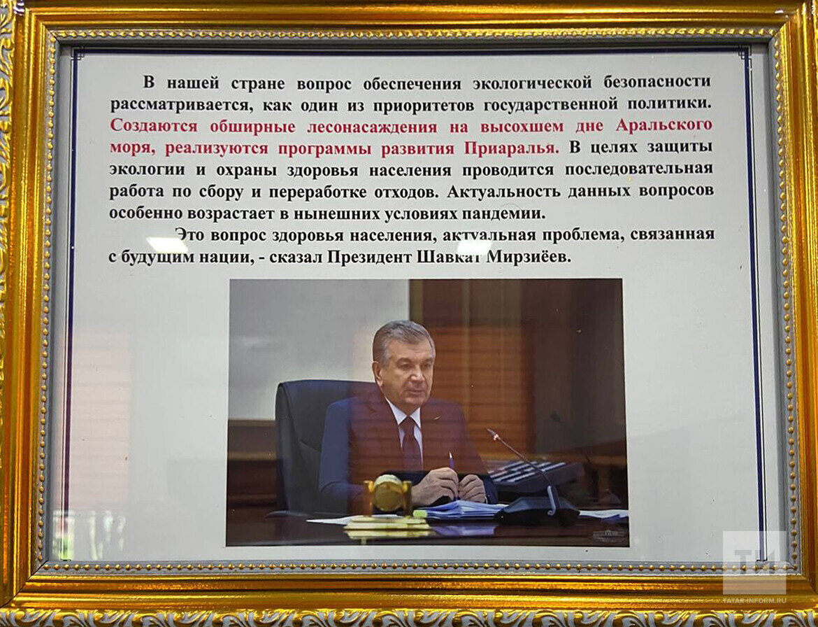 Академик Зиновий Новицкий: «Соляно-пылевые бури с Арала идут в сторону  России» | Татар-информ | Дзен