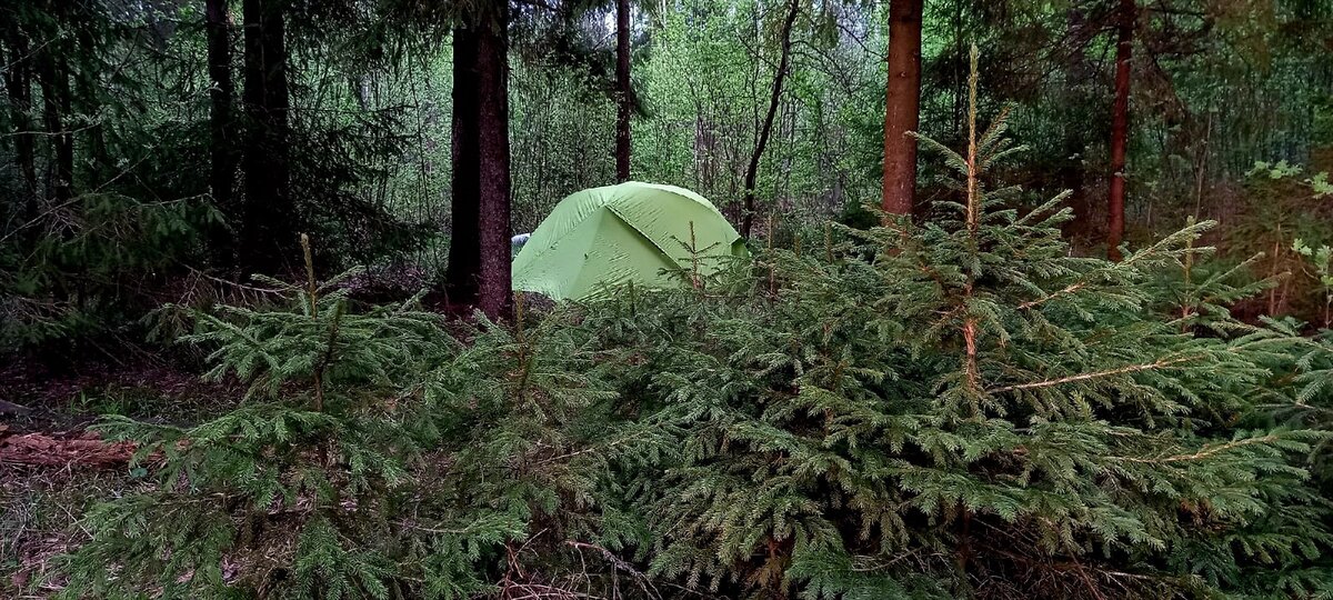 Фото автора канала