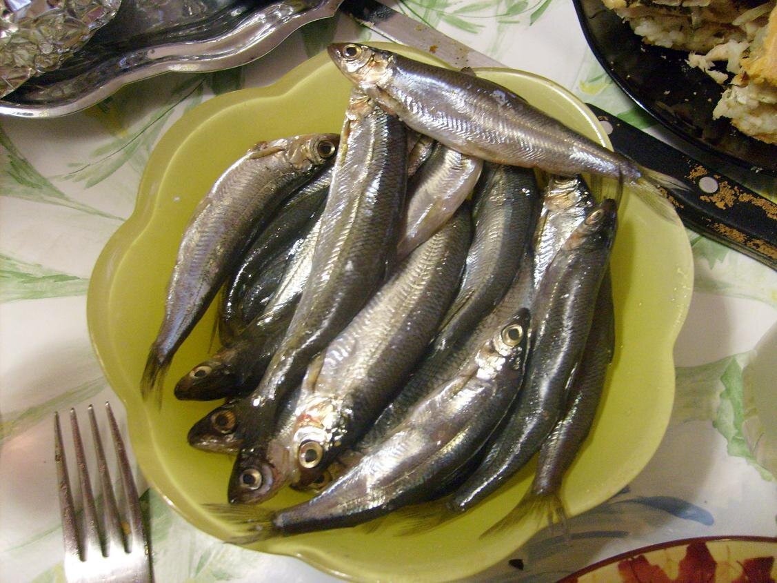 Редкая Сибирская рыба, которая скоро совсем исчезнет в водоемах.. Хитрости Рыбак