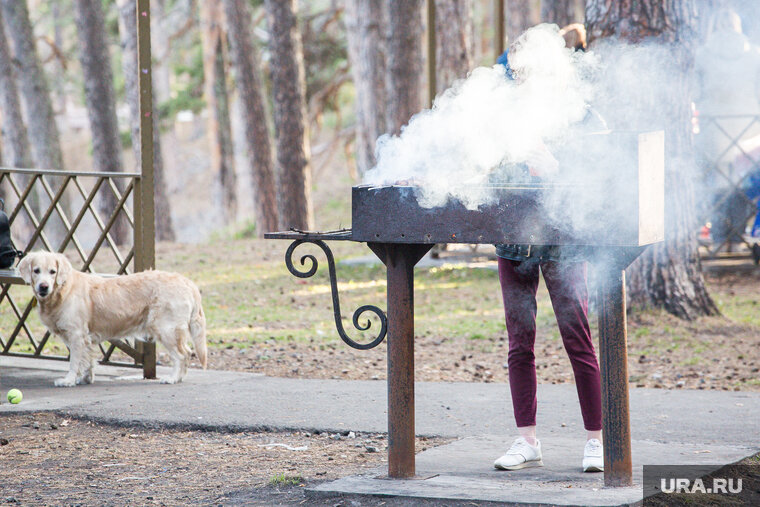    Жители Тюмени жарили шашлыки, несмотря на особый противопожарный режим