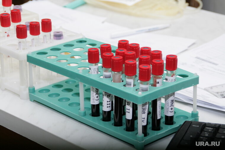    Врач-терапевт посоветовала сдавать кровь раз в год