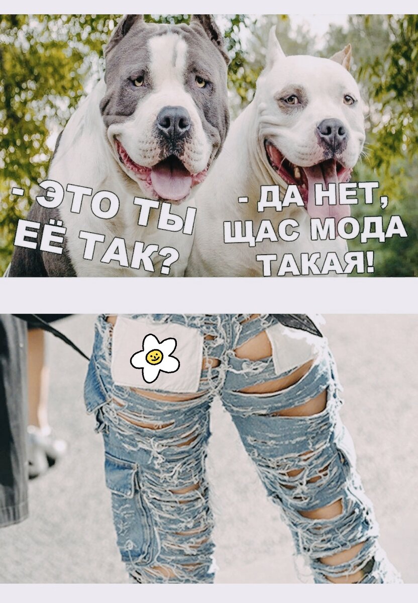 Фото из интернета в обработке автора