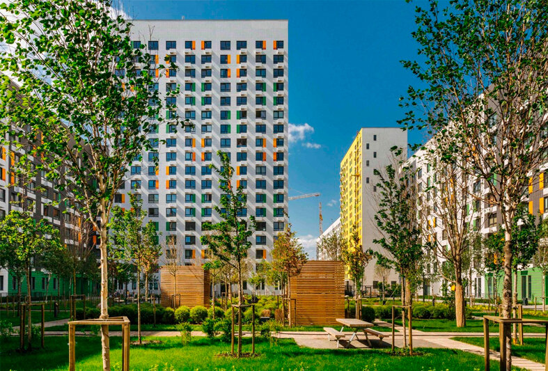 Фото взяла с Яндекс.Картинки