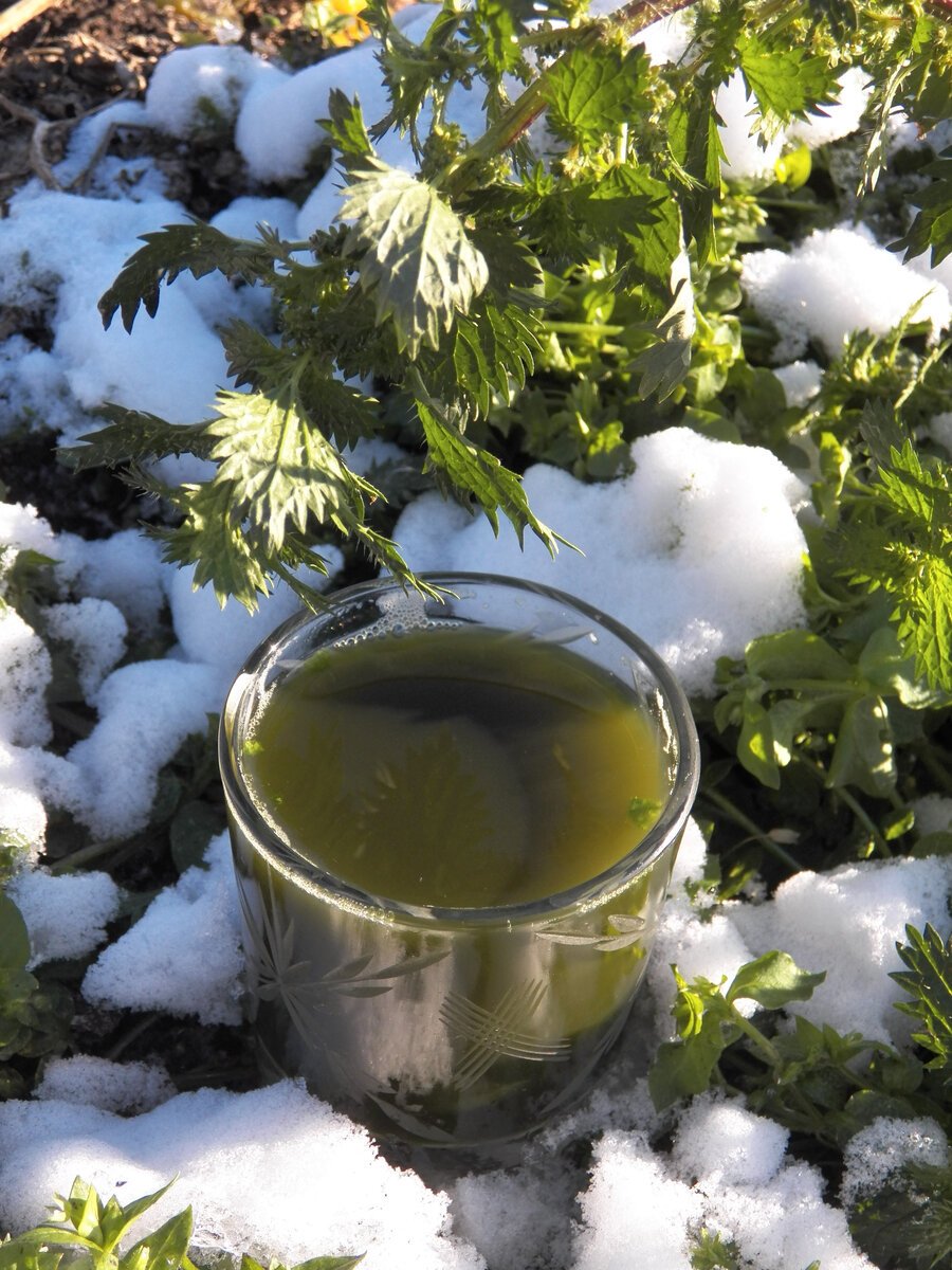 Коктейль из зимней и первой весенней зелени