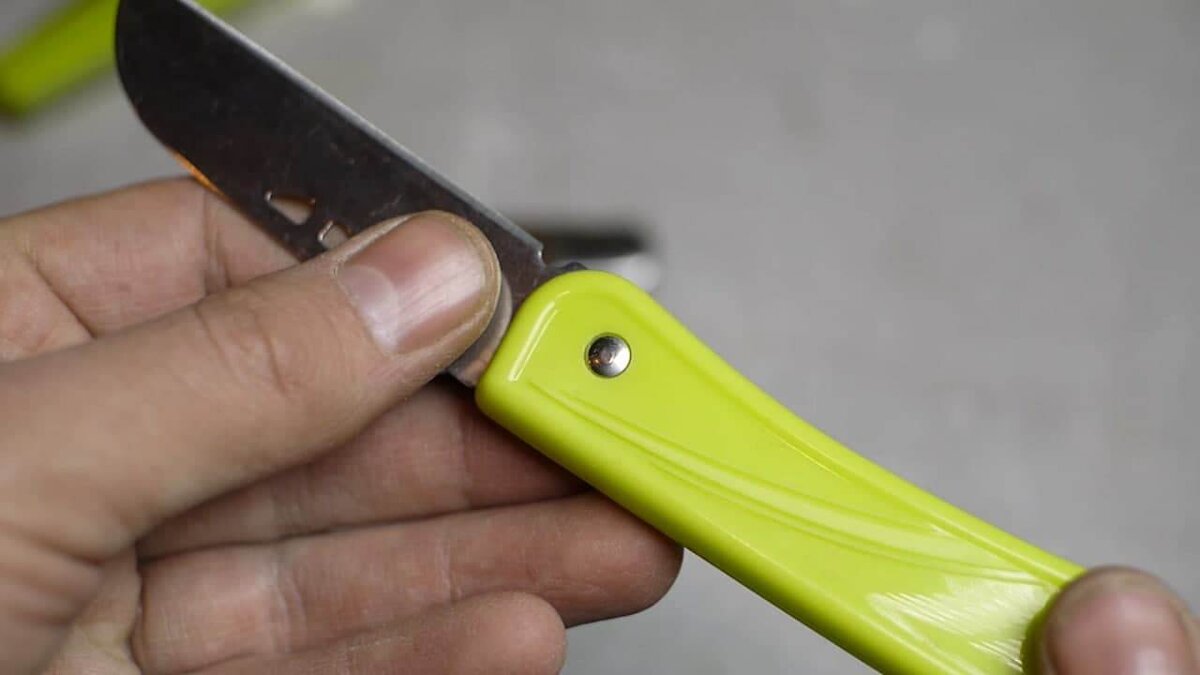 Надеюсь его потеряют гости когда пойдут с ним за грибами...