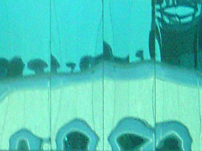 reflection window distortionBuford BlueFollow