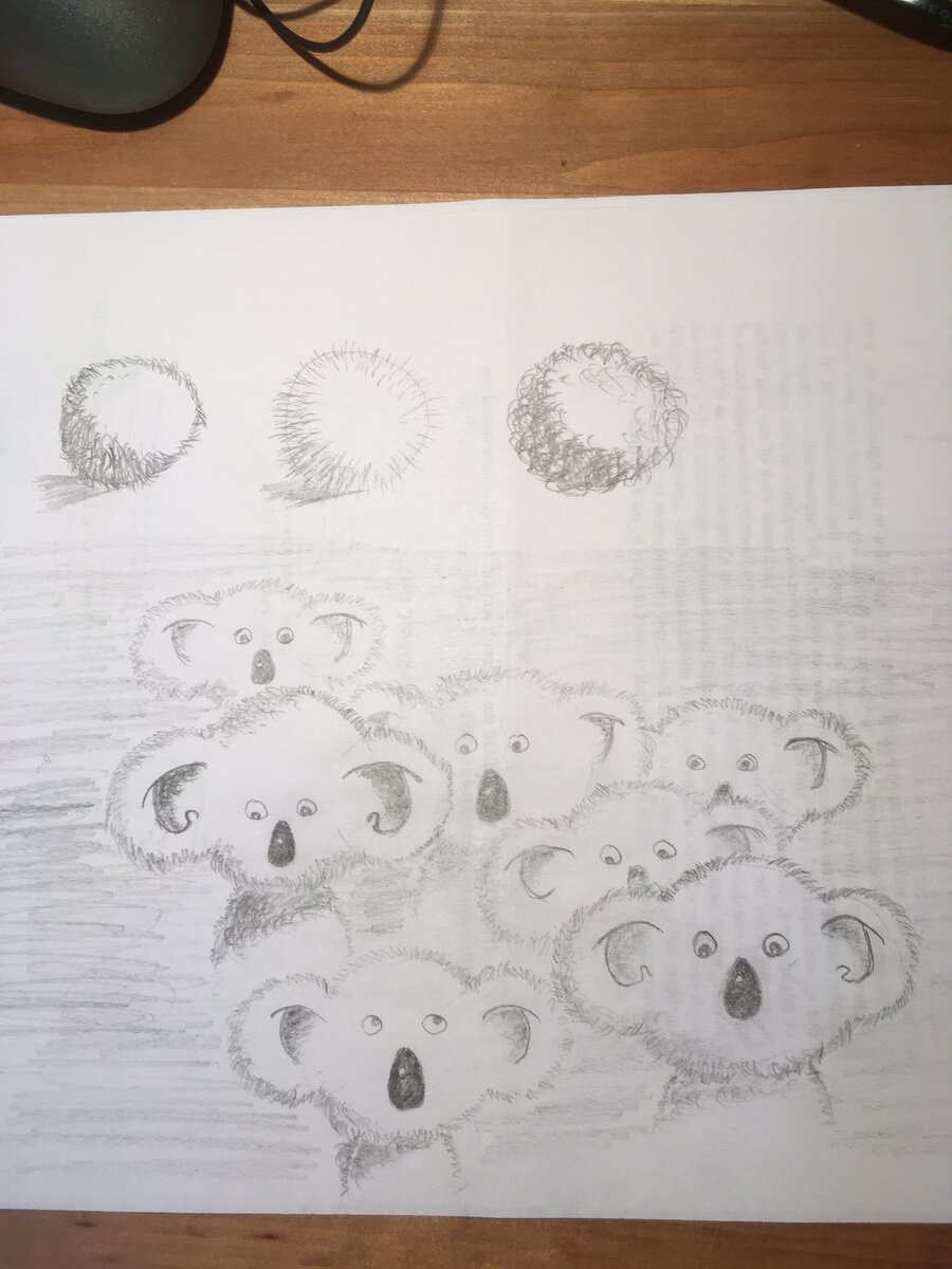 Эти коалы крайне милы =)