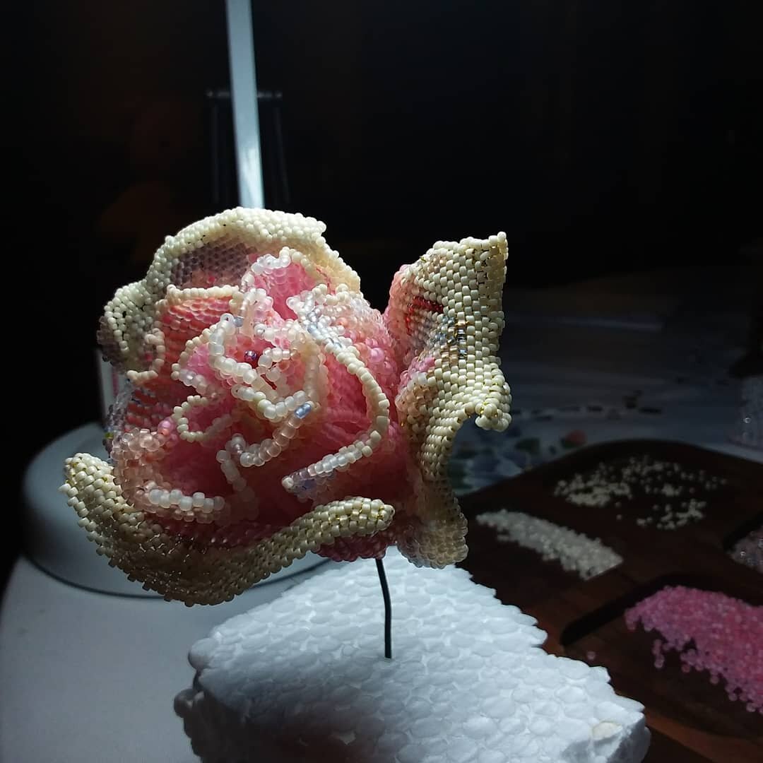 Средневековая роза.