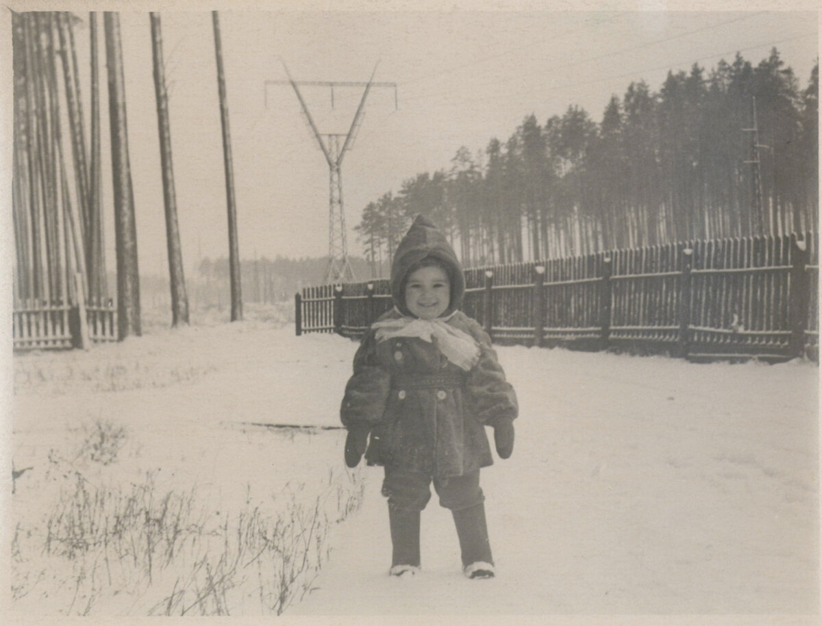 За территорией двора - мачтовые сосны..