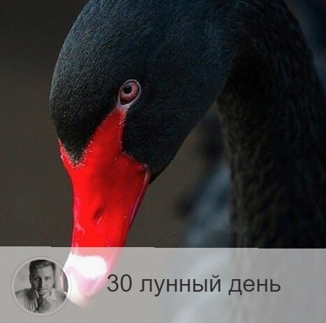 Подписывайтесь на наш канал, друзья!
30-ый лунный день с 08:34 по 22:06 11-ого. 🔆 Время любви, прощения, подведения итогов.
🐦 Символ дня – лебедь.
🎂 Люди, рождённые в этот лунный день, большая награда для семьи. Эти люди несут любовь, радость и прощение, они однолюбы и всегда следуют своим идеалам. Они обладают способностью к высшей космической любви и распространяют эту любовь на окружающих.
💍 Камни - турмалин, горный хрусталь.
🌞 Очень гармоничный и светлый период, в который хорошо завершать новые дела, хотя строить планы, даже мысленно, всё ещё рано. 30-е лунные сутки бывают не каждый месяц, так что сегодня как никогда важно оставить старые обиды, отбросить суету и простить всех и, главное, самих себя. Искренне поблагодарите прошедший лунный месяц за уроки, которые он преподнёс, пообещайте себе усвоить их и двигаться дальше с большей мудростью и осознанностью.
✅ Рекомендуемые практики: любите и прощайте.
Этот короткий день надо провести в радости и любви, надо культивировать любовь в себе и делиться ею с окружающими. Проанализируйте произошедшее за месяц, попросите прощения у себя, но не осуждайте. В этот день надо завершать дела и отдавать долги, очищать дом, если не сделали этого вчера.
❌Запрещено: тяжелая пища, агрессия.
Не ешьте ничего тяжелого, того, что медленно переваривается. Нельзя проявлять агрессию.
⭕️Уязвимые органы: сердце.
Сегодня противопоказаны большие нагрузки: как физические, так и психологические. День нужно провести в мире и покое.
⚠️ Знак:
Если в 30-й лунный день вы ощущаете скорбь и тоску, это очень плохо: вы не подводите итогов, не освобождаетесь от ненужного, не делаете выводов. На физическом плане такие действия могут также проявиться в виде аллергии на запахи. Очень плохо в этот день получить ожог. Это значит, что в вас накопилось много злобы и агрессии.
💤 Сны этих лунных суток вещие и правдивые, показывающие ваши ошибки за прошедший лунный месяц.

—————
📺 Все видео со мной 👉 https://numeromagic.ru/video/
