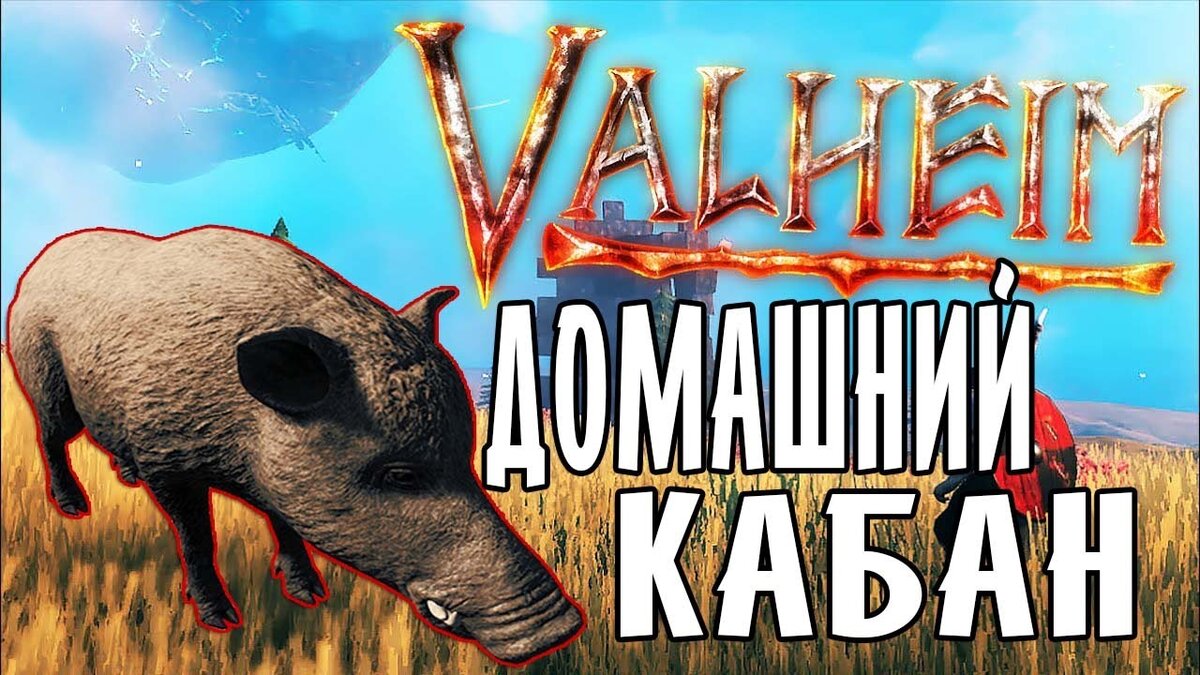 Кабан в Valheim: Как приручить кабана и начать их разводить? | WARGM.RU |  Дзен