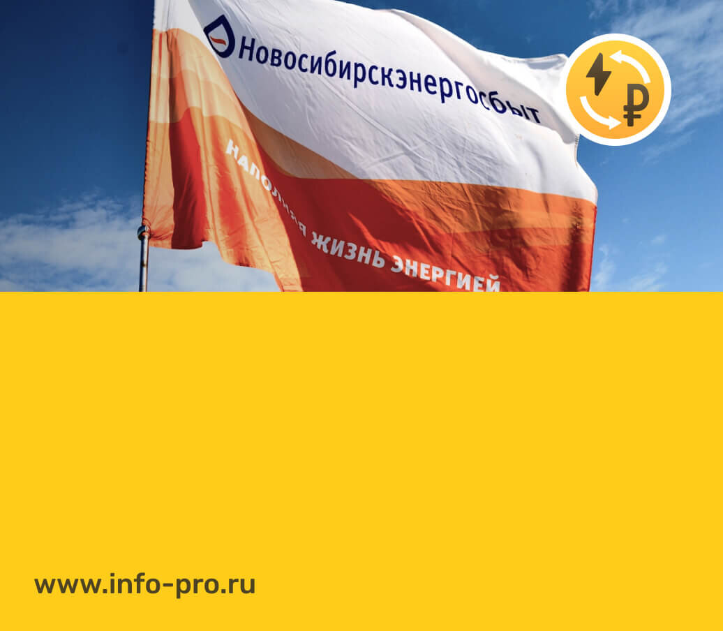 Источник фото: официальная страница АО "Новосибирскэнергосбыт" в vk.com