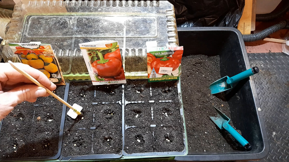 Посадку семян осуществляем на нужную глубину. Для перцев и томатов - 1 см.